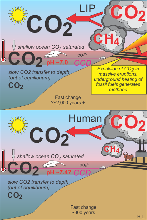 Comparing LIP and Human emissions