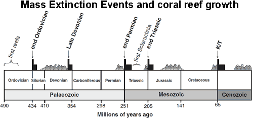 Mass extinction events and periods of coral reef regrowth