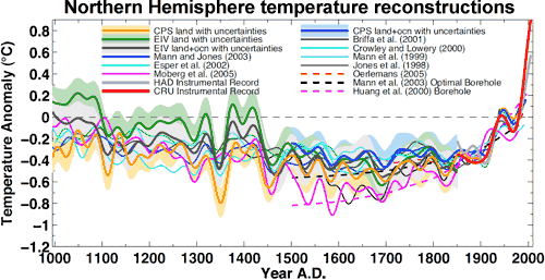http://www.skepticalscience.com/images/NH_Temp_Reconstruction.gif
