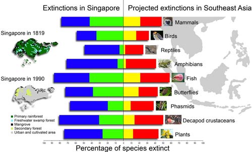 Extinções em Cingapura e Sudeste Asiático