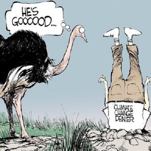 2012 Toon 48