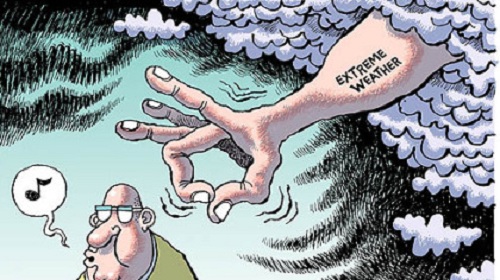 2013 Toon 2