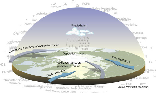 Arctic Contamination Pathways