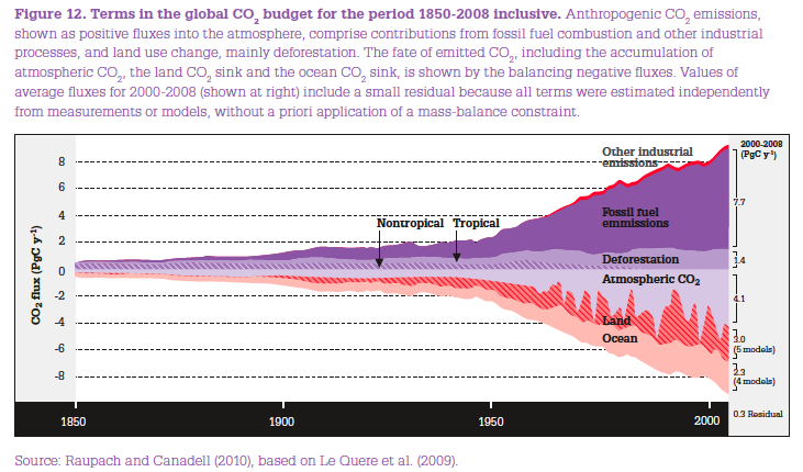 carbon budget
