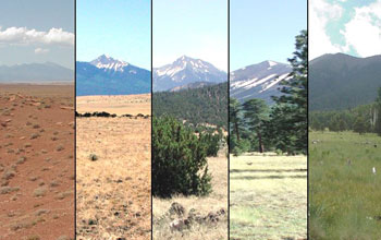 Composite of the ecosystems studied, arranged left to right in order of increasing elevation. Photos of ecosystems studied