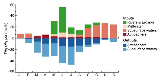 Graphic of Mecury Inputs to and Outputs from Arctic Ocean