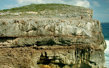Beach deposit in the Bahamas