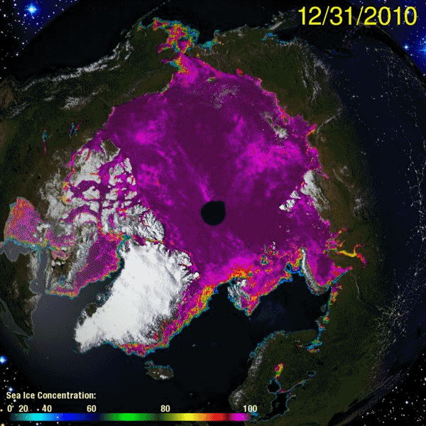 cryosphere animation