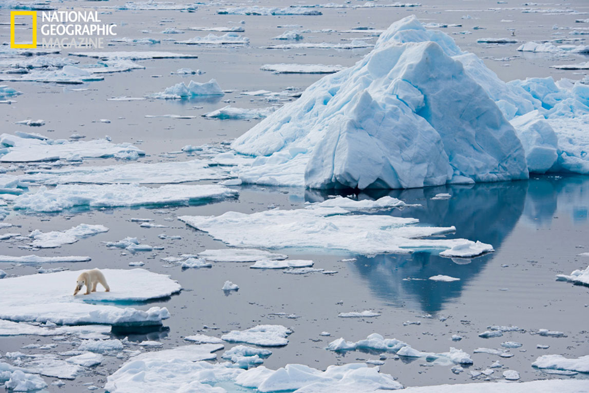 Visions Of The Arctic