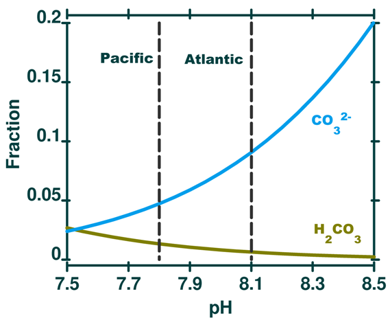 Speciation plot enlarged Speciation plot enlarged