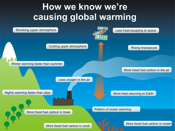 A world affected by pollution and global warming essay