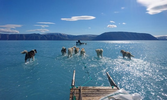 Dog sled on melting sea ice near Greenland