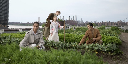 Gardening in Brooklyn per Vogue Magazine