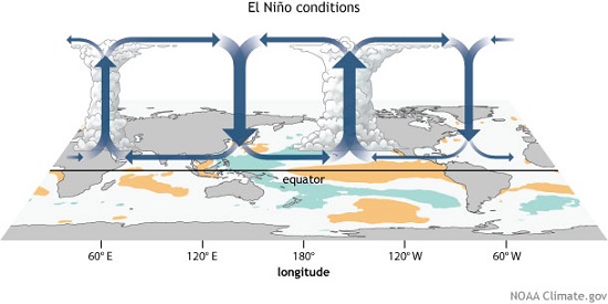 Walker circulation in El Nino conditions